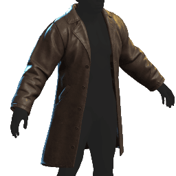 Leather Coat (Brown)