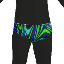 Swimming Trunks