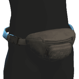Fanny Pack